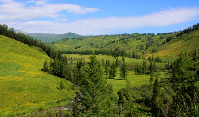 The nature of the Kazakhstan Altai in vicinities of the Austrian road.