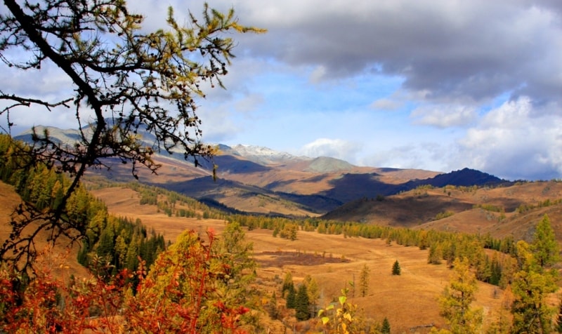 The nature of the Kazakhstan Altai in vicinities of the Austrian road.