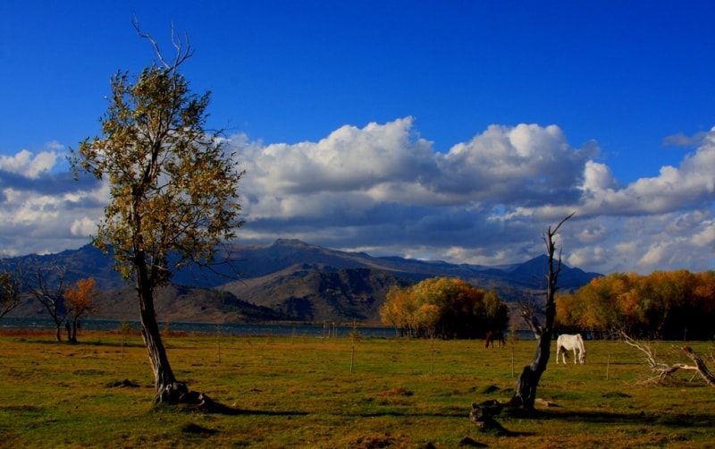 Around Markakol Lake.