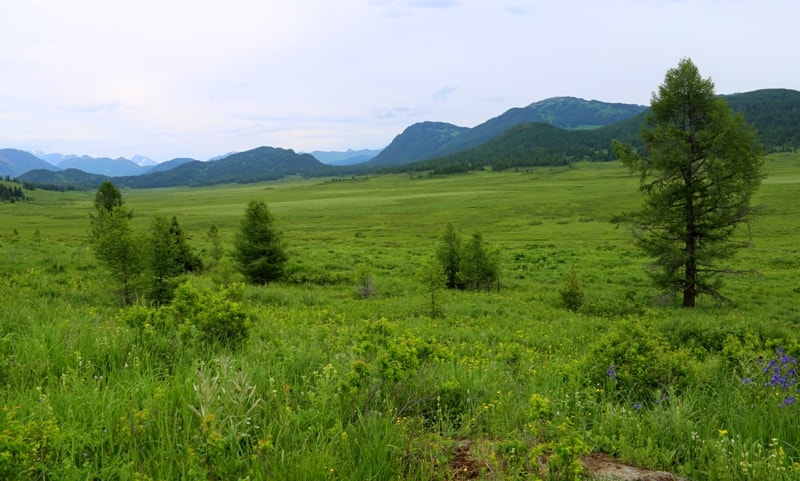 Природа Казахстанского Южного Алтая.