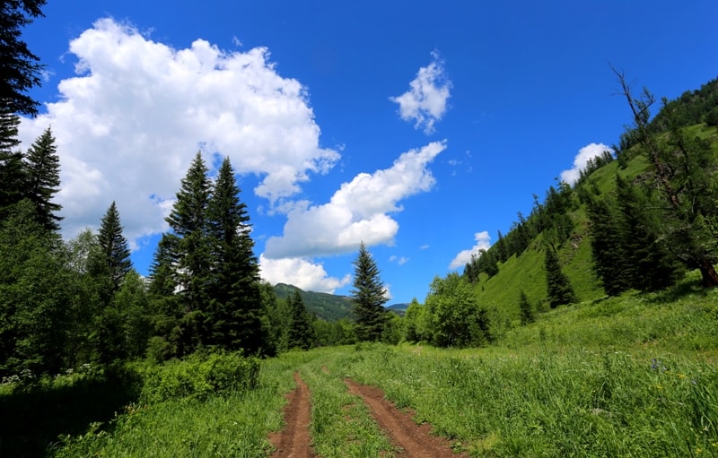 The western Altai of Kazakhstan.