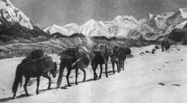 С лошадьми по леднику Иныльчек. Фотография В. Мухина.