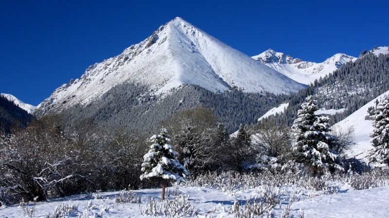 Akkol gorge in Bayankol.