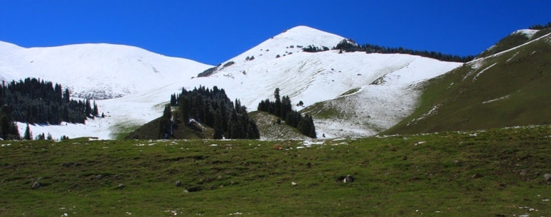 Akkol gorge in Bayankol.