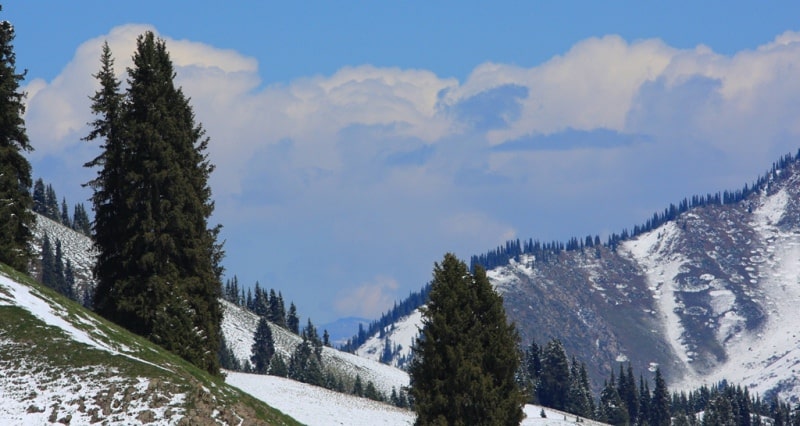 Akkol gorge in Bayankol.