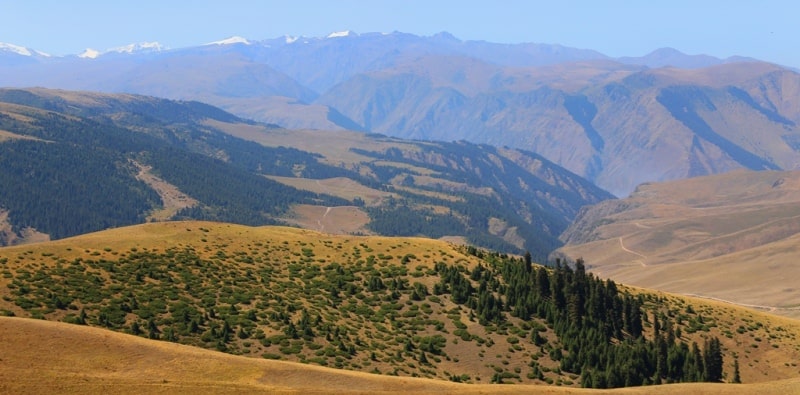 Asy of the plateau and its vicinity.