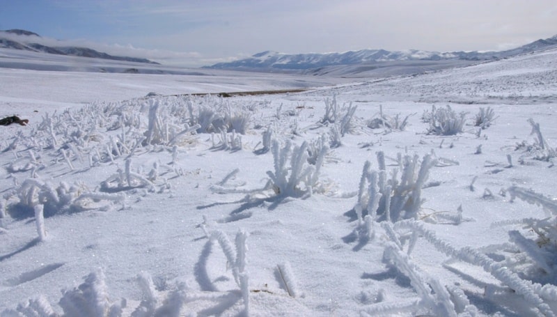 Asy of the plateau and its vicinity.