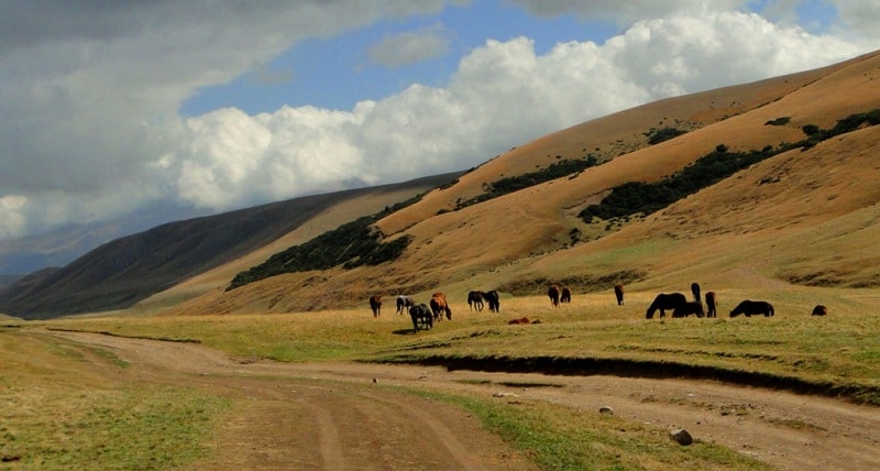 Asy of the plateau and its vicinity.