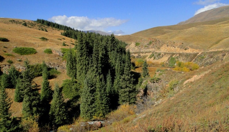 Asy of the plateau and its vicinity.