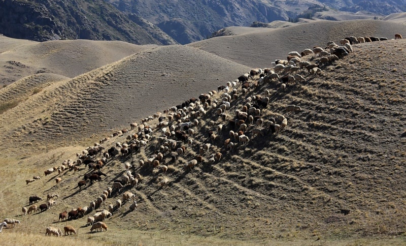 Asy of the plateau and its vicinity.