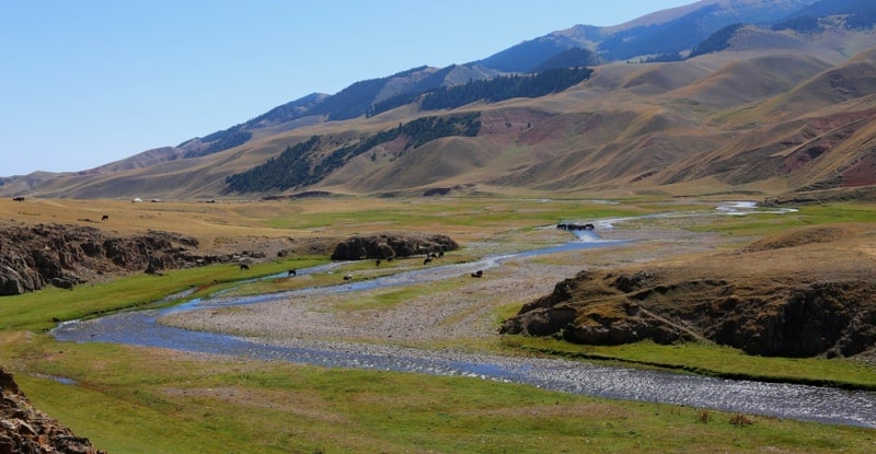 River Asy and its vicinity.