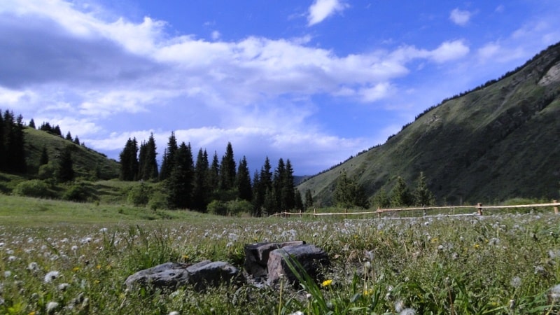 River Asy and its vicinity.