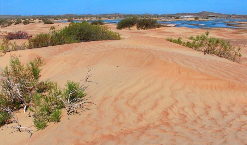 Bestas sandy desert.