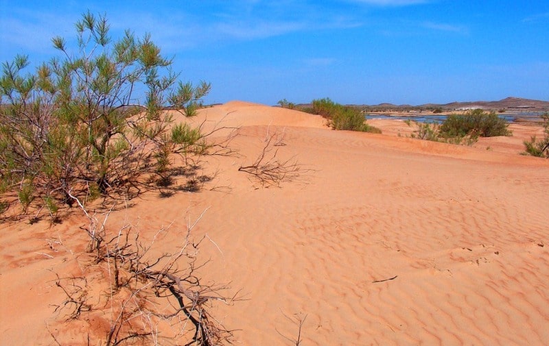 Bestas sandy desert.