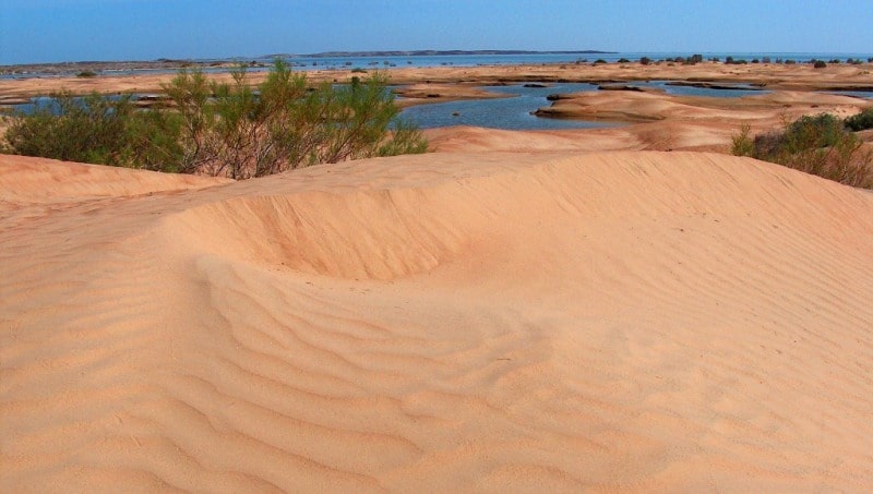 Bestas sandy desert.