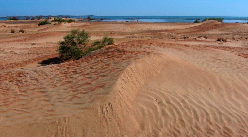 Bestas sandy desert.