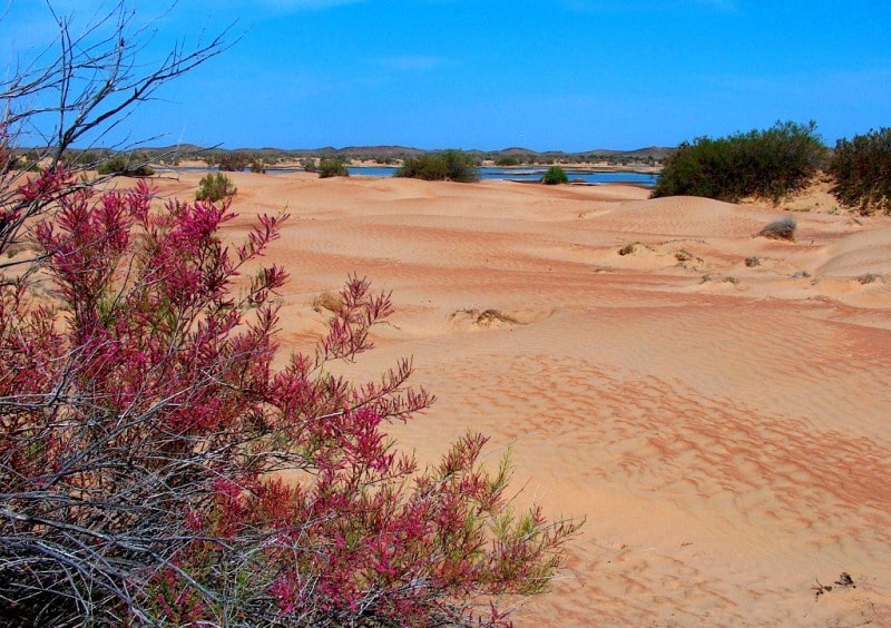 Bestas sandy desert.