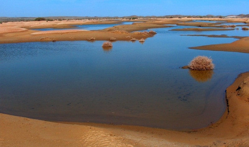 Bestas sandy desert.