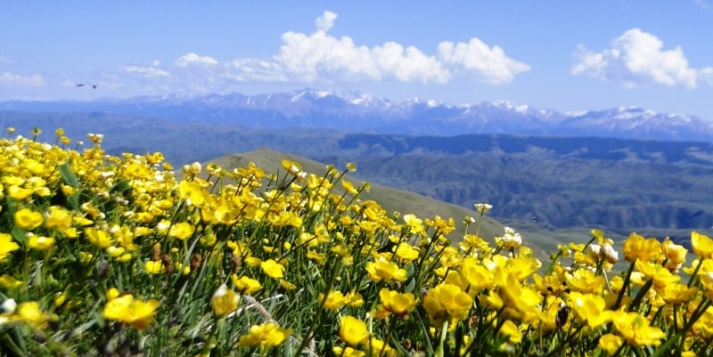 Mountains Dzhetysu in South Kazakhstan.