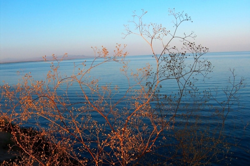 Капшагайское водохранилище.