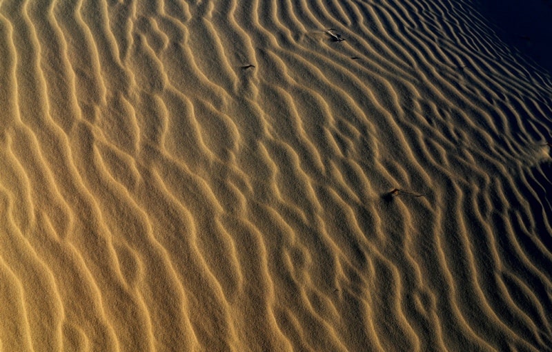 Каракум песчаная пустыня. Балхаш-Алакольская котловина.