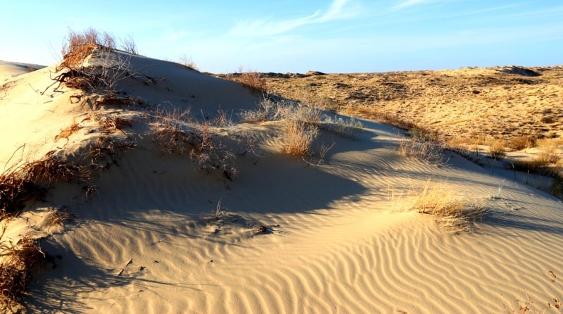 Kara Kum desert.