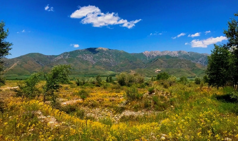 Karatal river in Kazakhstan.