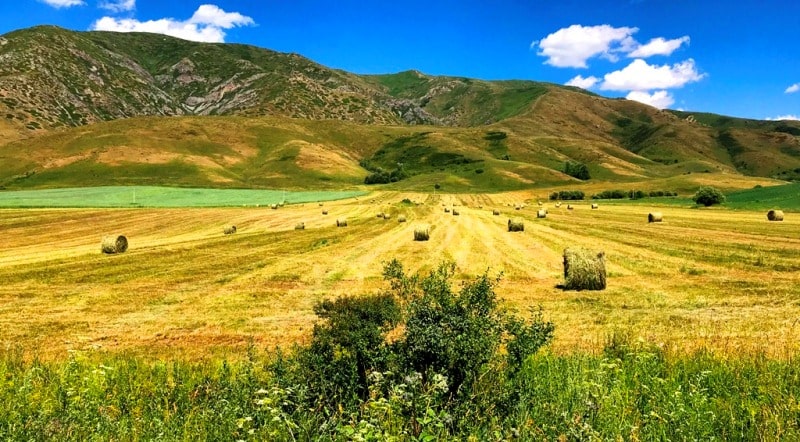 Karatal river in Kazakhstan.