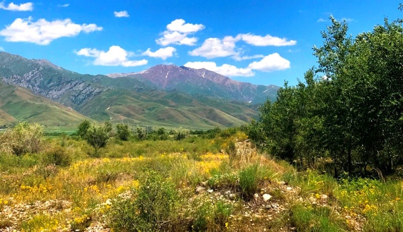 Karatal river in Kazakhstan.