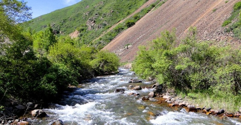 In the environs of Kargaly gorges.