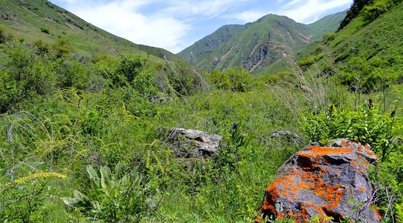 In the environs of Kargaly gorges.