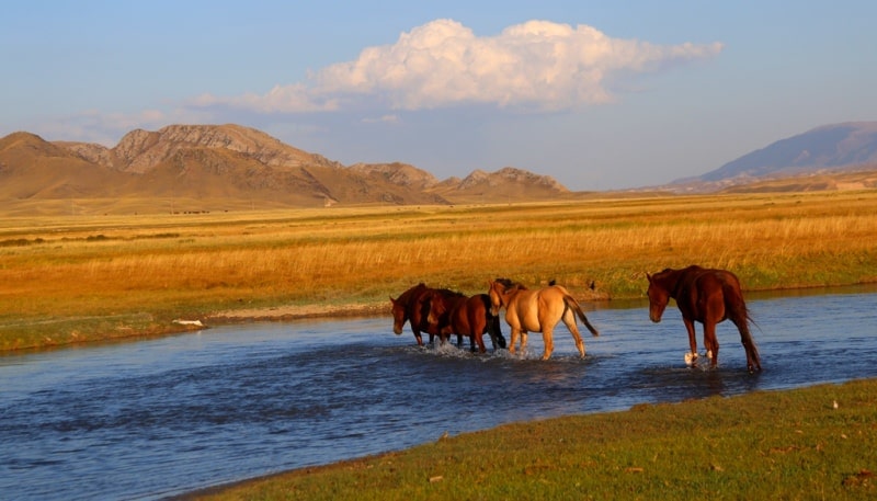 River Kegen and vicinities.