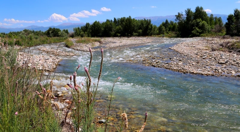 River Koktal and its vicinities.