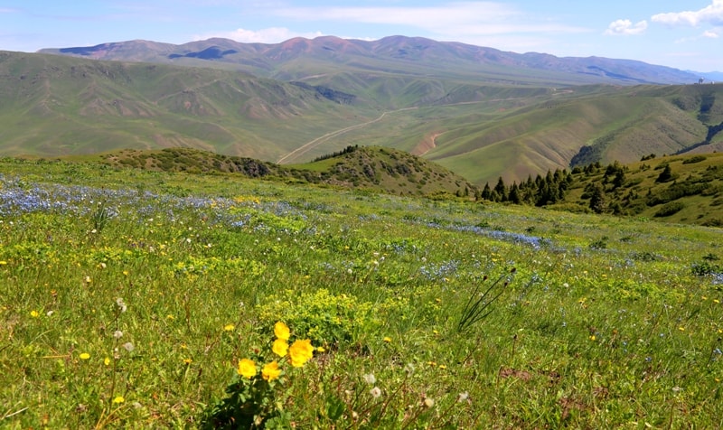 Valley Oykaragay.