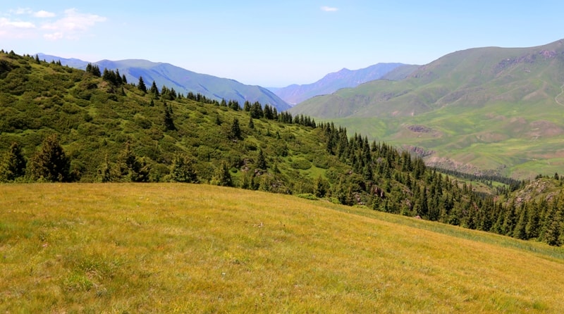 Valley Oykaragay.