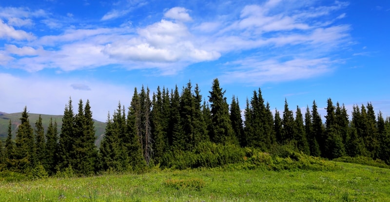 Valley Oykaragay.