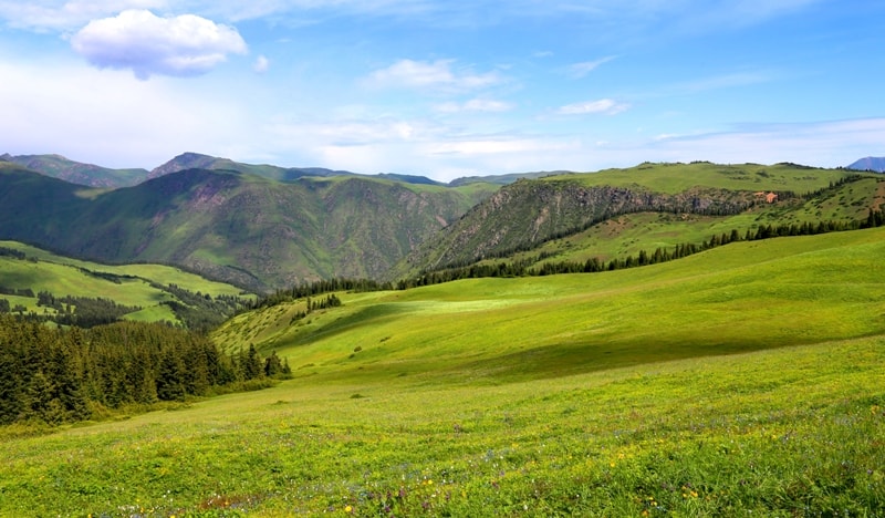 Урочище Ойкарагай.