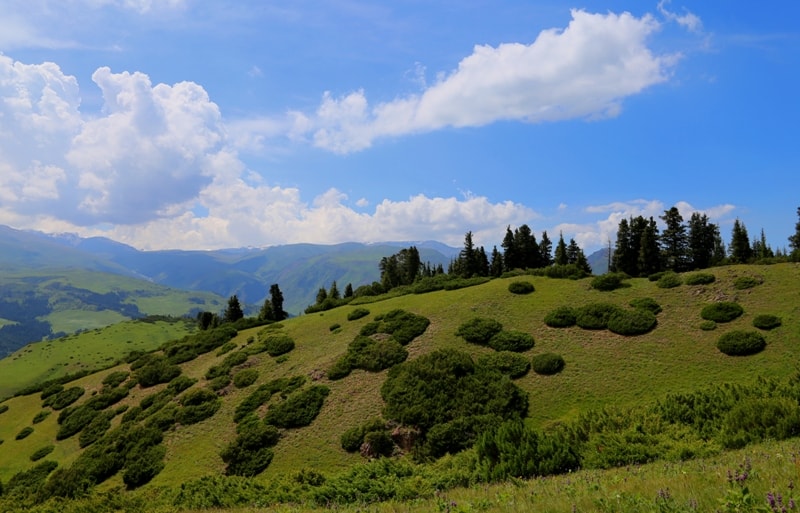 Урочище Ойкарагай.