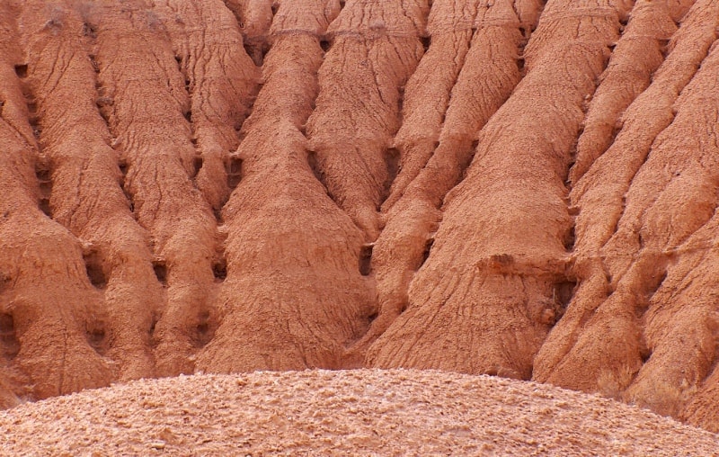 Nature of Semirechye Dzhetysu.