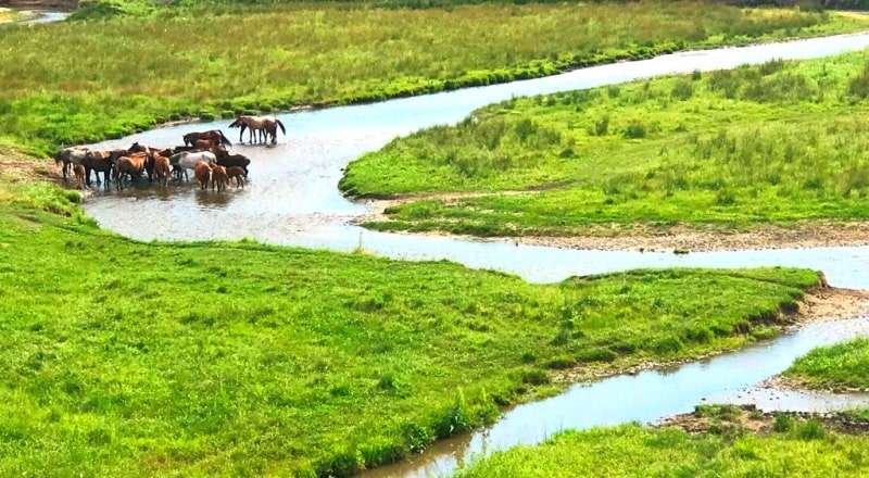 Sarkand river.