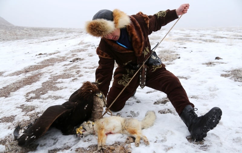 Games of a berkutchi are held in the Syugaty valley.