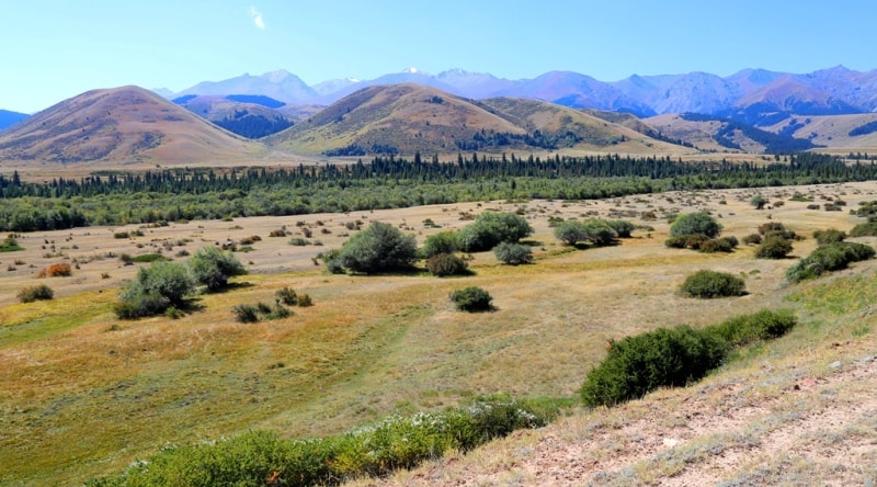 Vicinities of the valley and river Tekes.