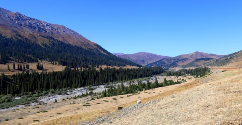 Vicinities of the valley and river Tekes.