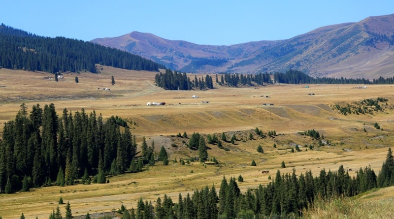 Vicinities of the valley and river Tekes.