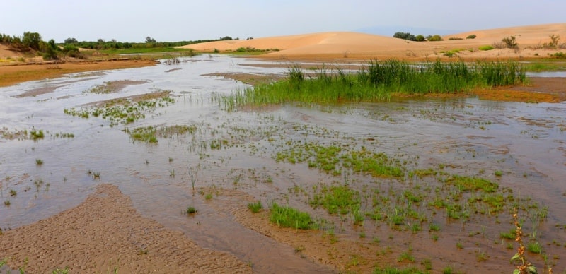 River Topar and its vicinities.