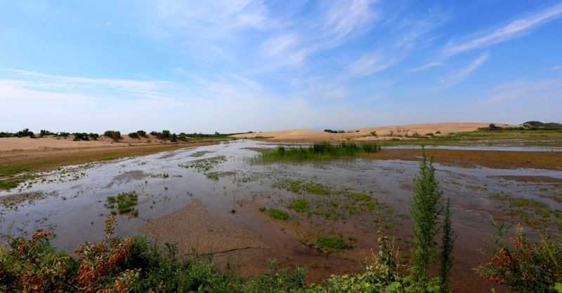 River Topar and its vicinities.