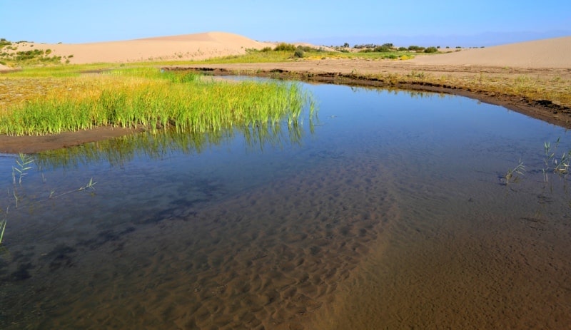 River Topar and its vicinities.