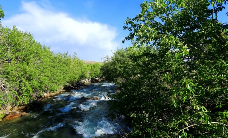 The river Usek also its vicinities.