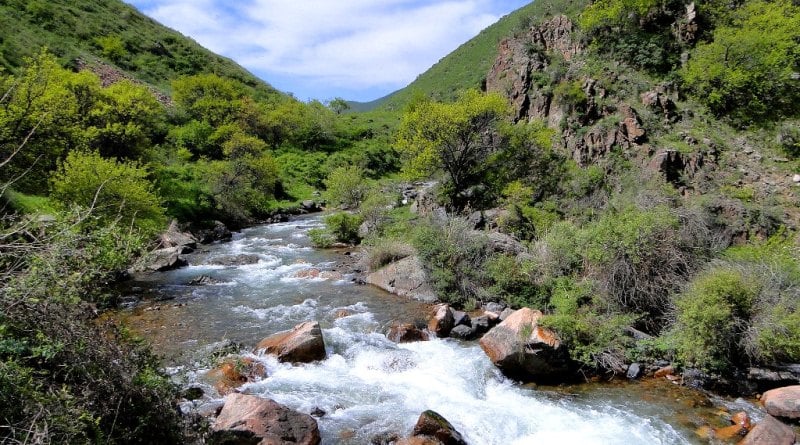 The river Uzun-Kargaly and vicinities.