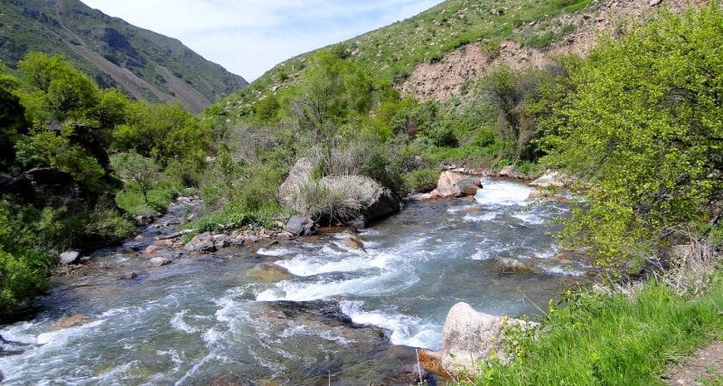 The river Uzun-Kargaly and vicinities.